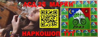 индика Будённовск