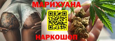 индика Будённовск
