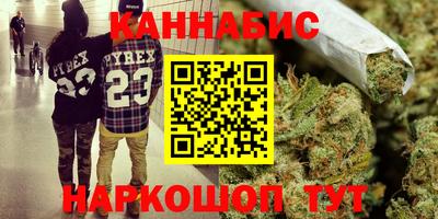 индика Будённовск