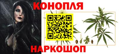 индика Будённовск