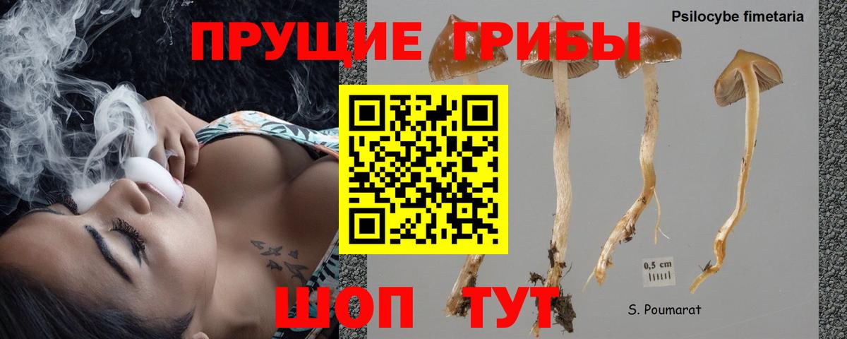 Галлюциногенные грибы прущие грибы  Вход с VPN  купить закладку  Петропавловск-Камчатский 