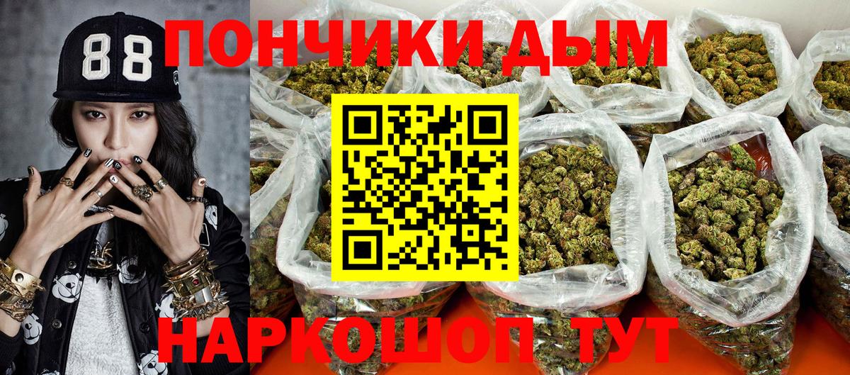 Конопля ГИДРОПОН  Бошки Шишки Amnesia  Вход с VPN  Петропавловск-Камчатский  Марихуана сатива  Бошки марихуана сатива 